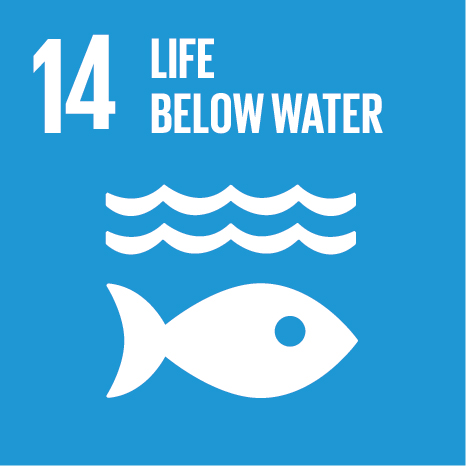 Official SDG 14: Life Below Water logo