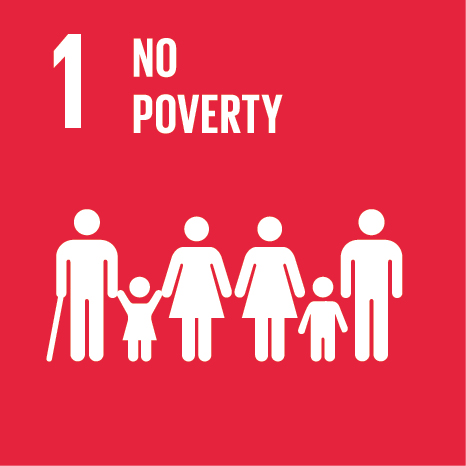 Official SDG 1: No Poverty logo