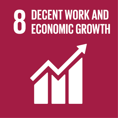 Official SDG 8: Decent Work & Economic Growth logo