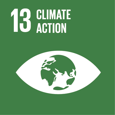 Official SDG 13: Climate Action logo