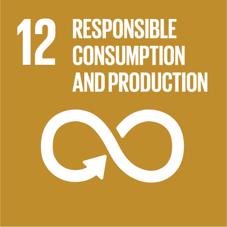 Official SDG 12: Responsible Consumption & Production logo