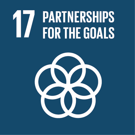 Official SDG 17: Partnerships for the Goals logo